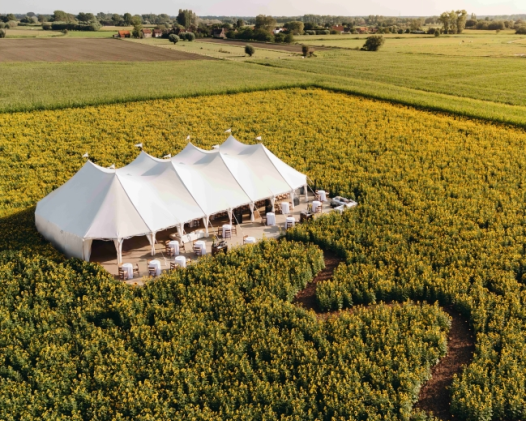 Inside the Wedding That Started in a Corn Maze and Ended in a Candlelit Sunflower Field