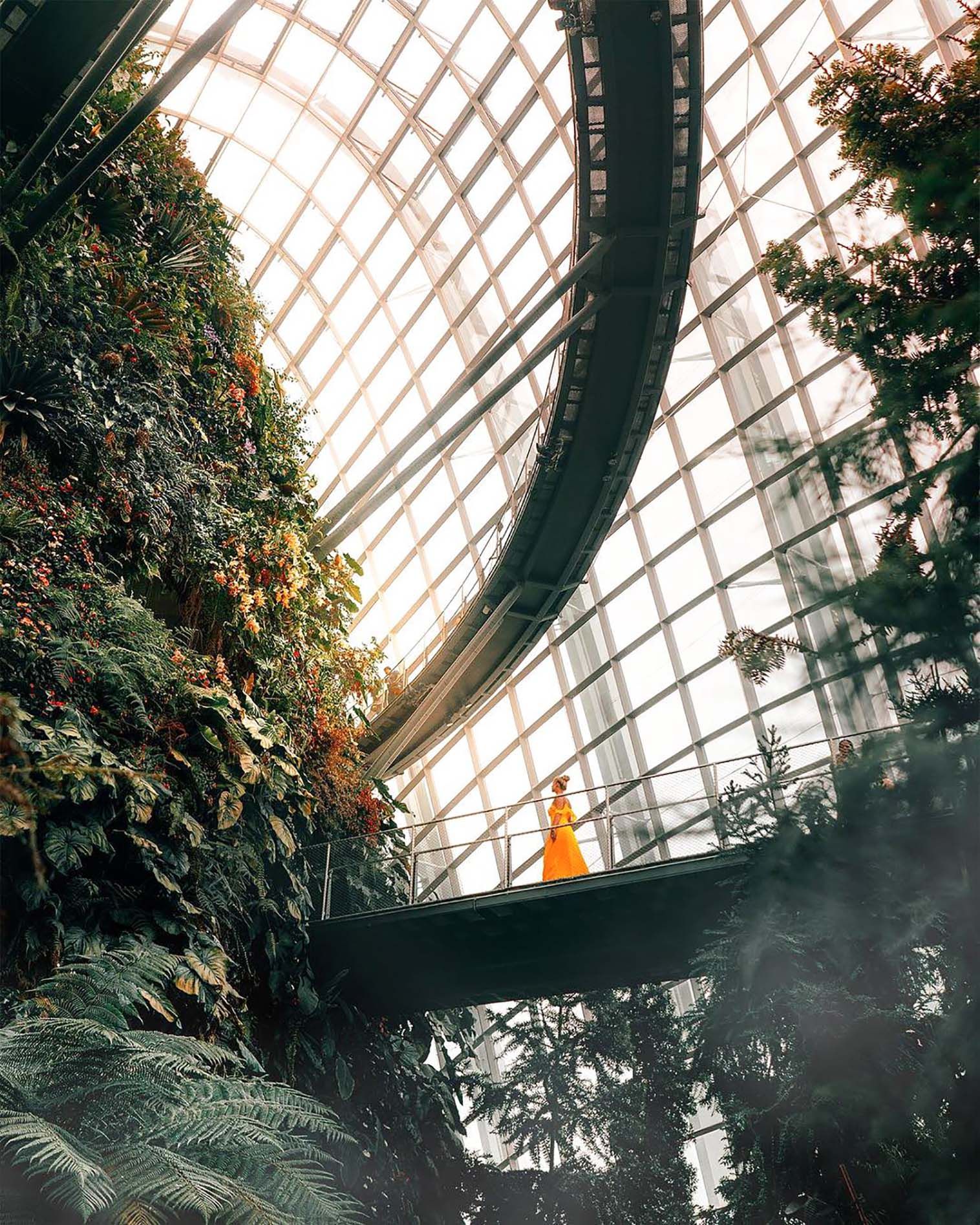 You Can Walk Through a Cloud Forest in Singapore