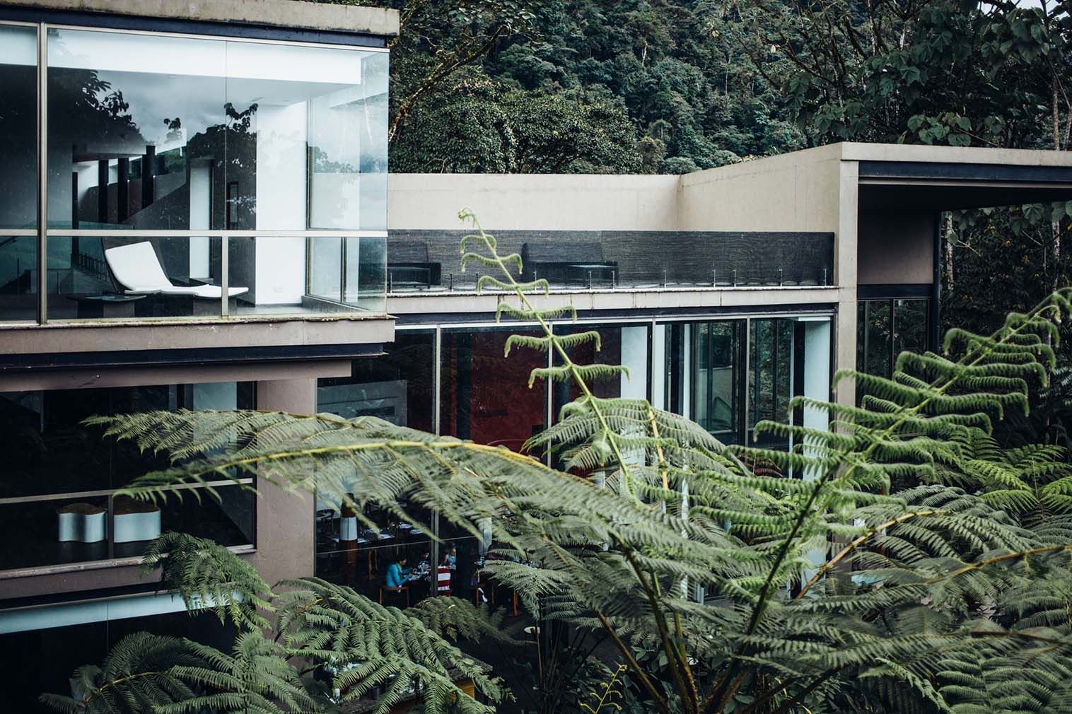 You Can Hang With the Monkeys at This Ecuadorian Reserve and Resort