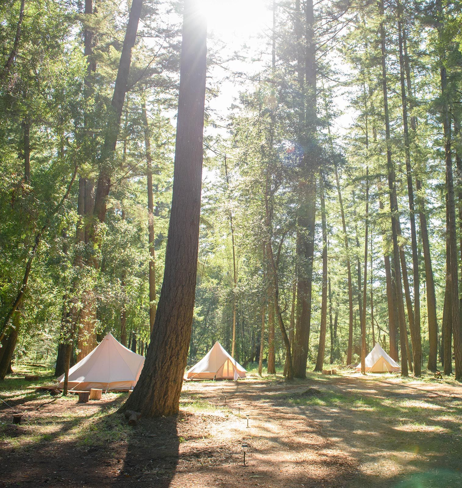 You Are Going to Want to Host Your Next Company Team-Building Retreat Here