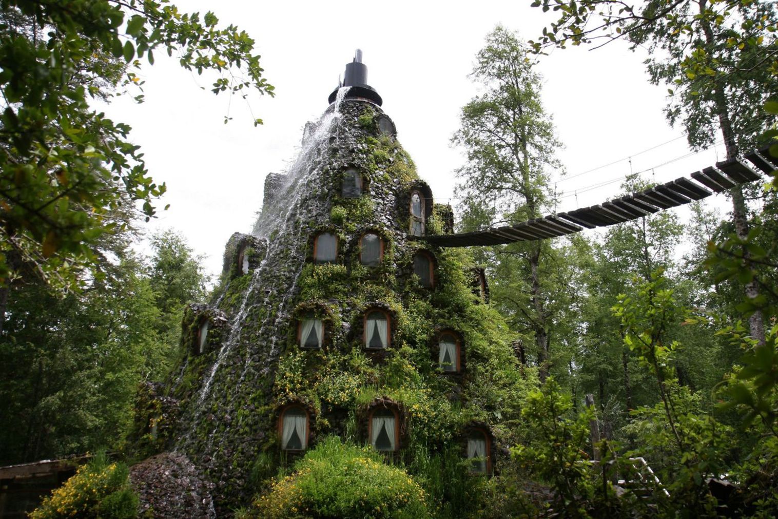 The Patagonian Rainforest Is Giving You the Treehouse of Your Childhood Dreams