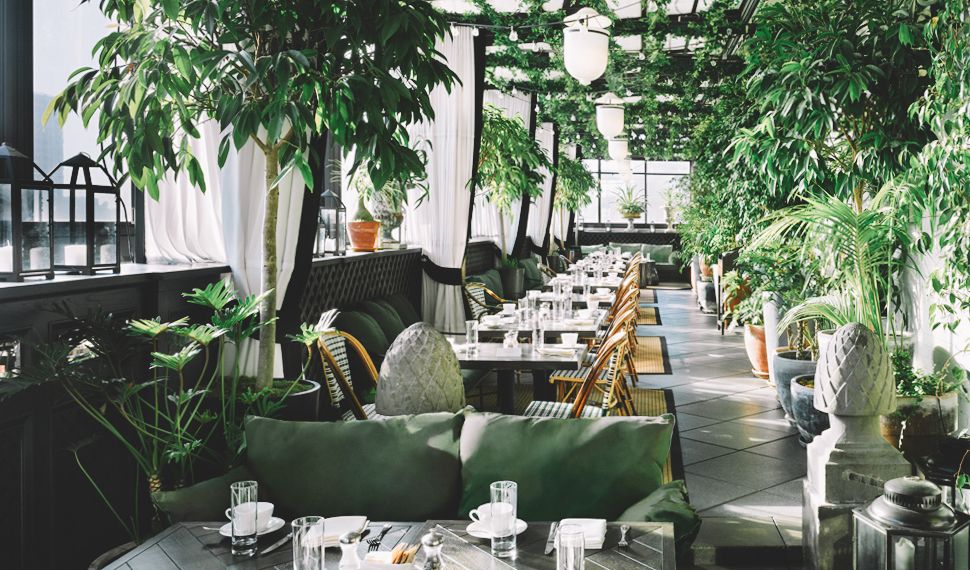 A Must-Have Brunch on a Rooftop Balcony in NYC