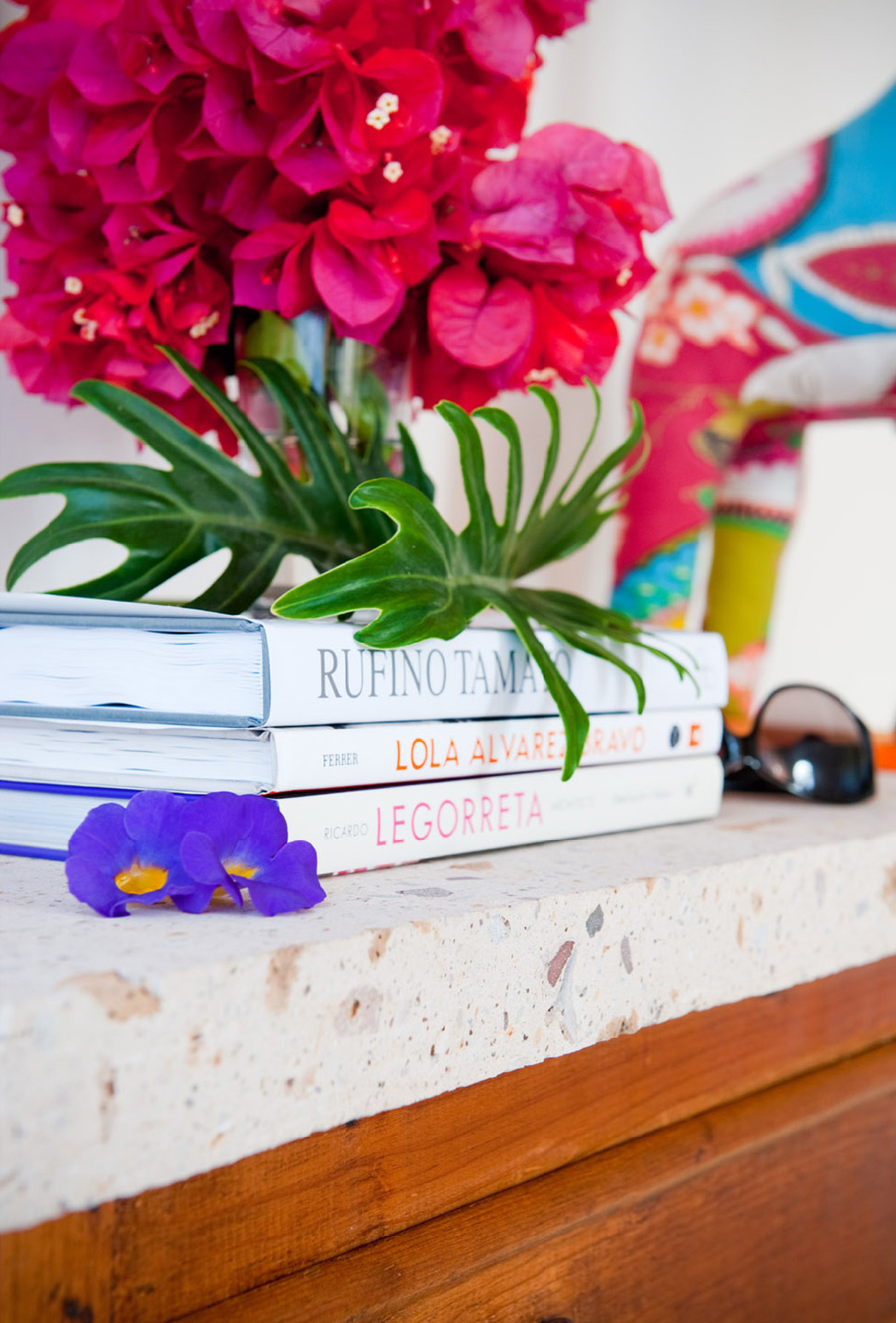 Casa Dos Chicos: Sayulita Mexico