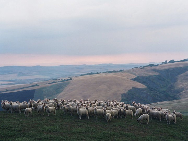 La Bandita : Tuscany, Italy