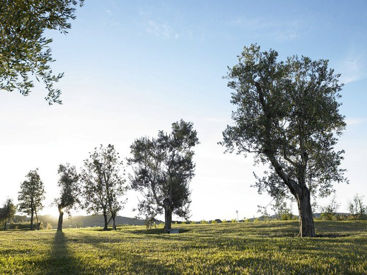 La Bandita : Tuscany, Italy