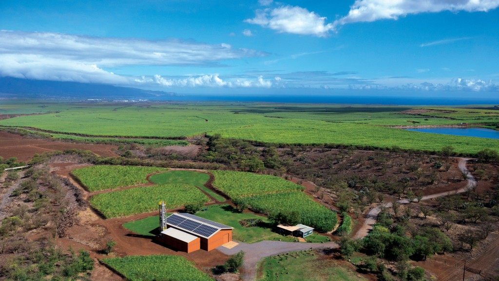 Ocean Vodka Organic Farm & Distillery : Kula, Maui, Hawaii
