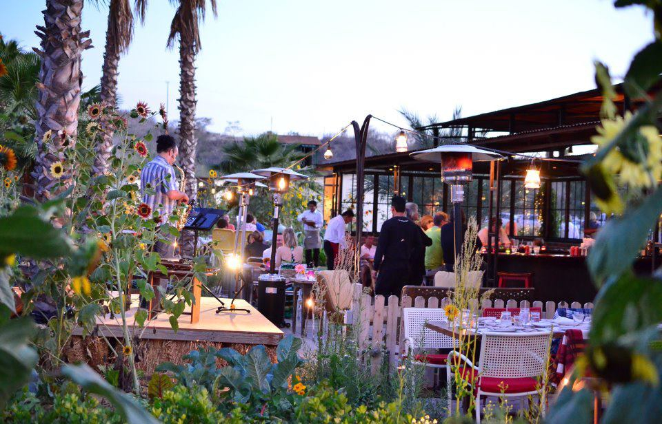Flora Farms : Los Cabos, Mexico 