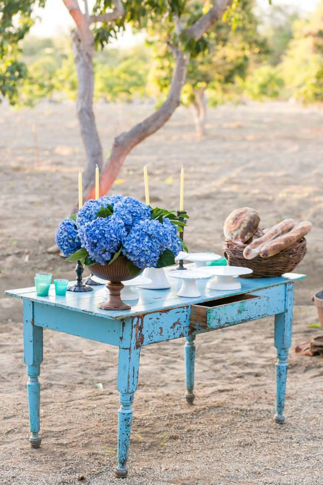 Flora Farms : Los Cabos, Mexico 