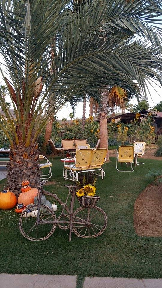 Flora Farms : Los Cabos, Mexico 