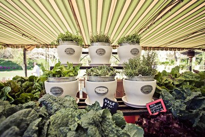 Flora Farms : Los Cabos, Mexico 