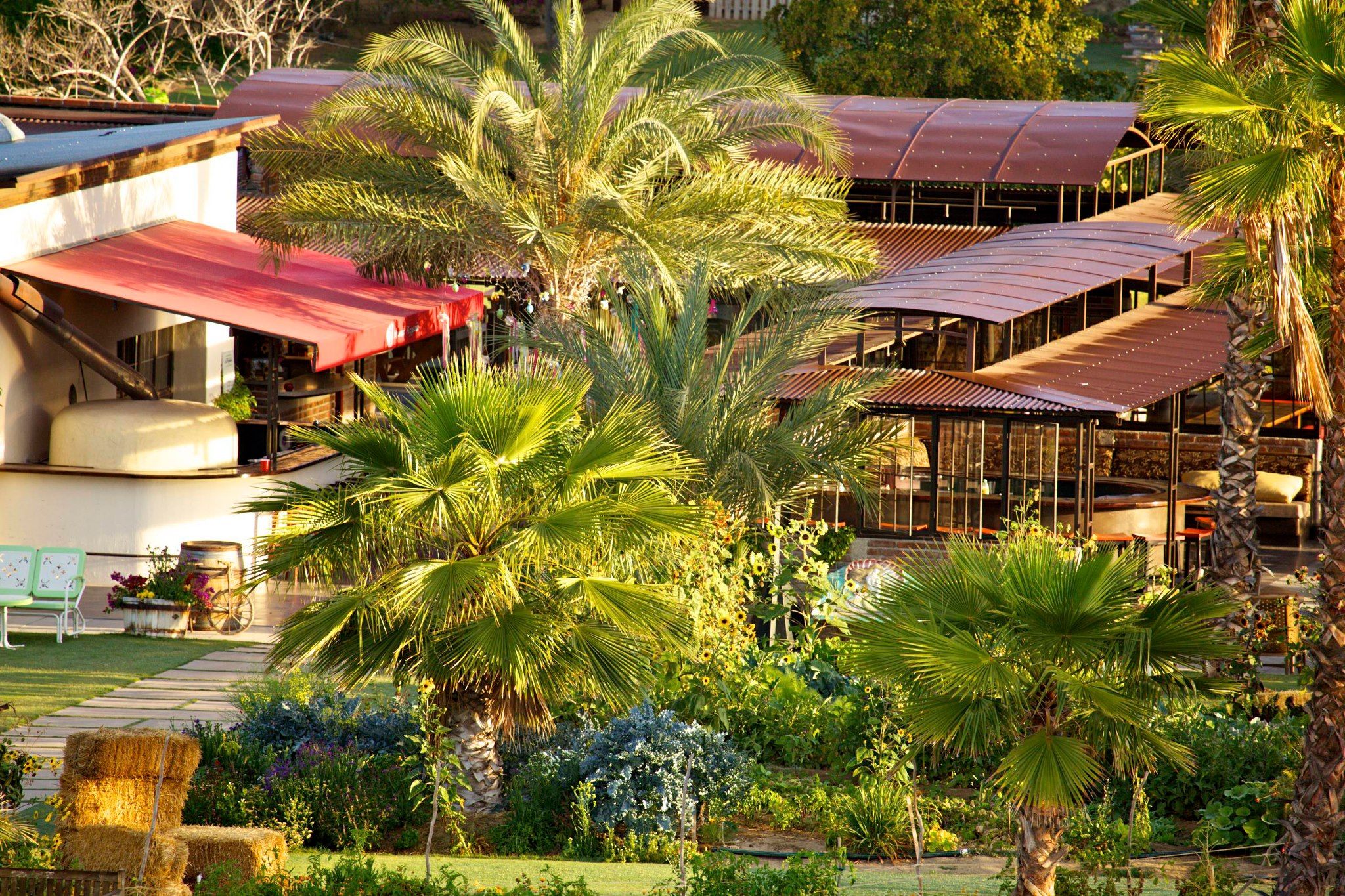Flora Farms : Los Cabos, Mexico 