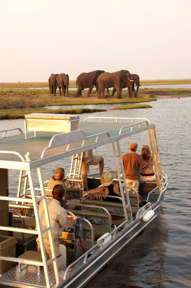 A luxury African river safari : Chobe River, Namibia, Africa
