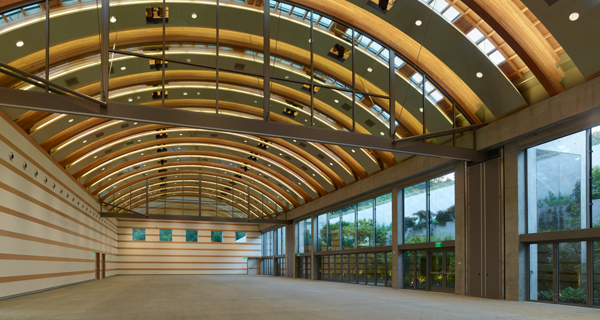 A night at the museum 