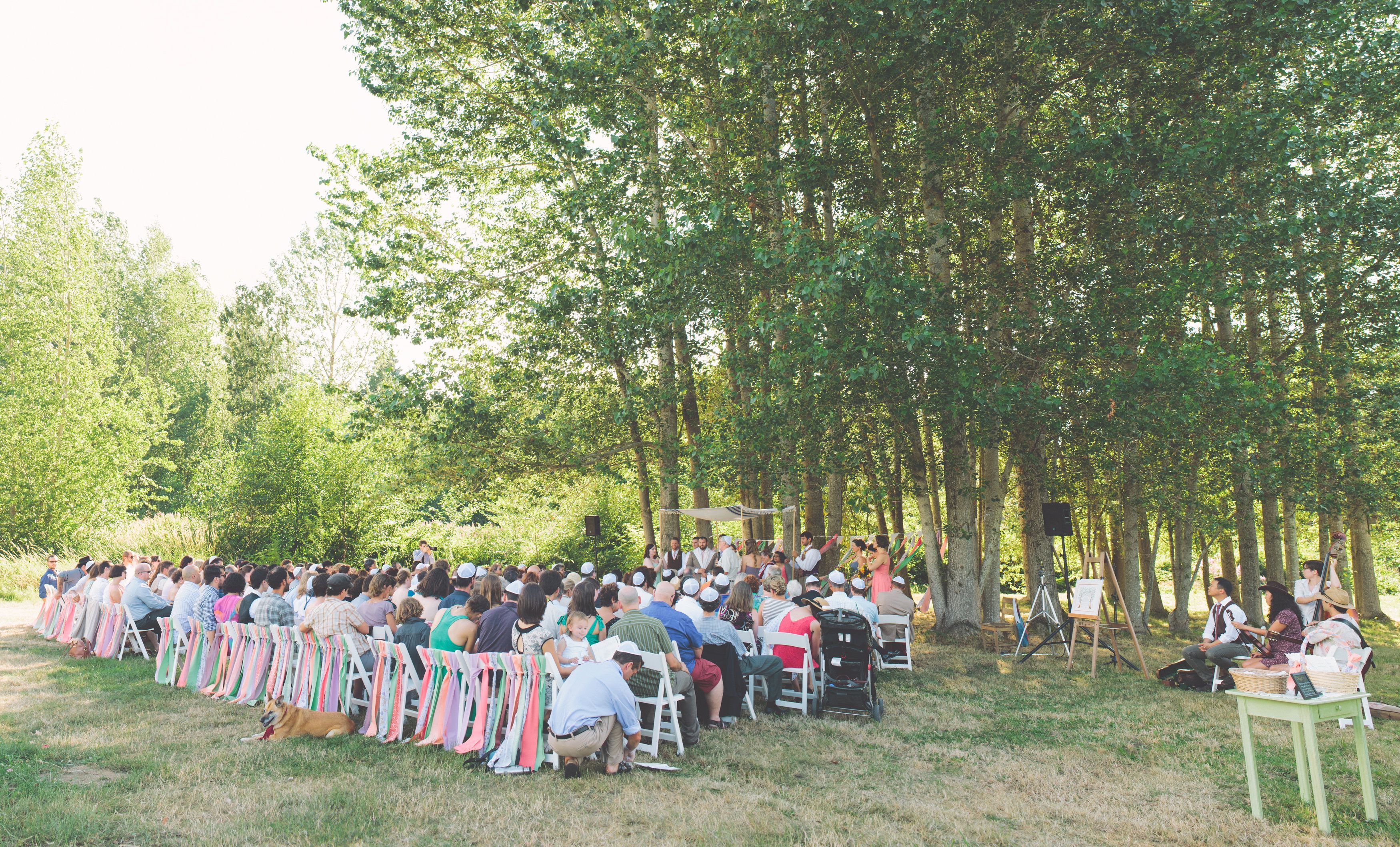 An Organically Farmed Love Story Wedding
