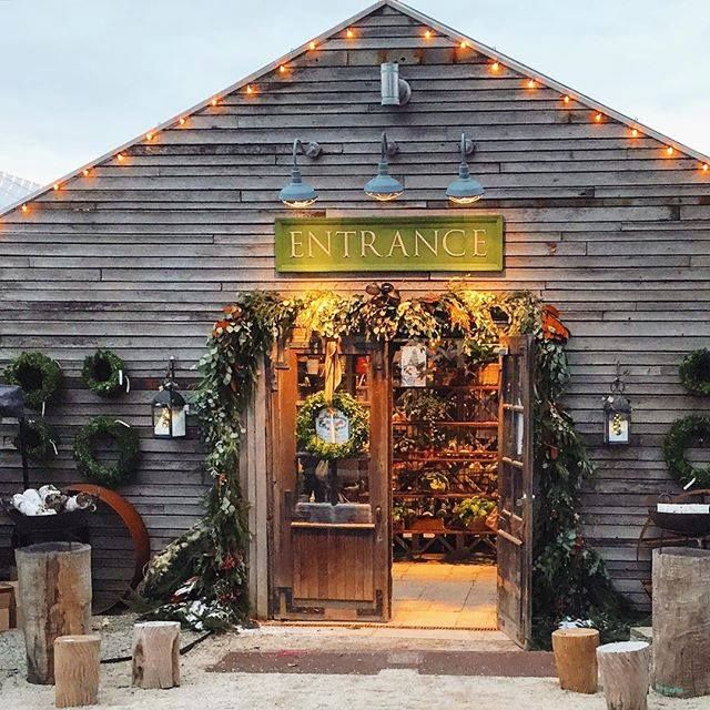 Brunch Bucket List of the Week: A Festive Holiday Brunch In An Antique Greenhouse