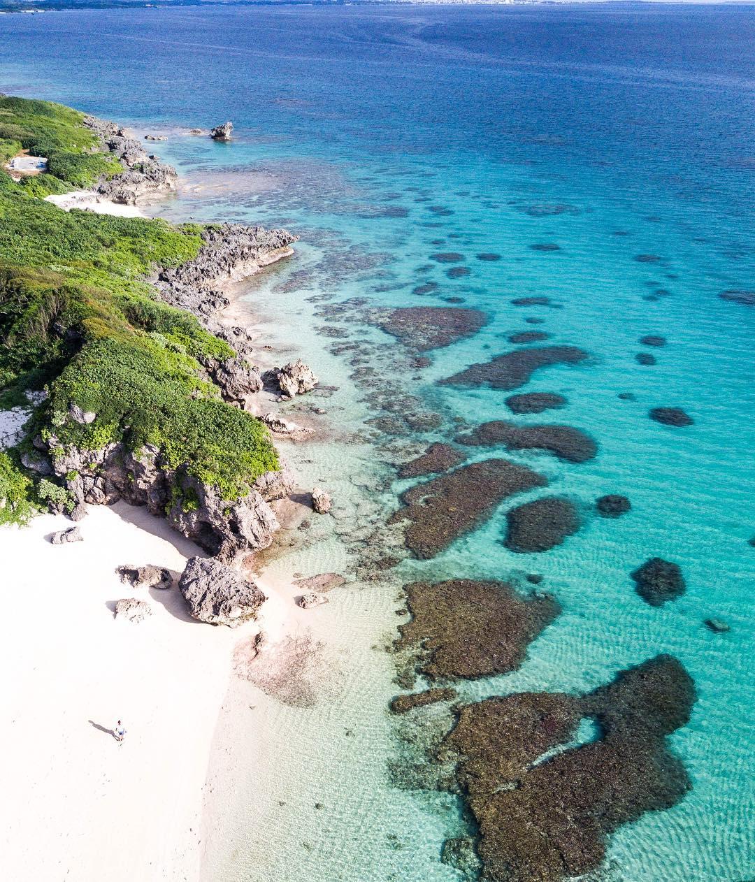 shoreline with rocks covered in greenery