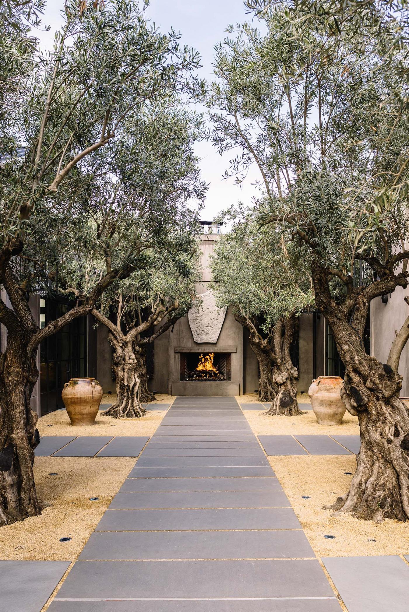 outdoor walkway leading to firepit lined with trees