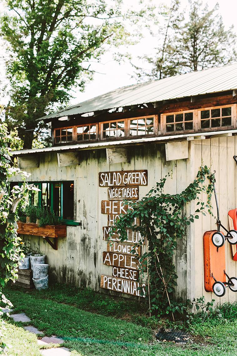 Blooming Hill Farm in New York