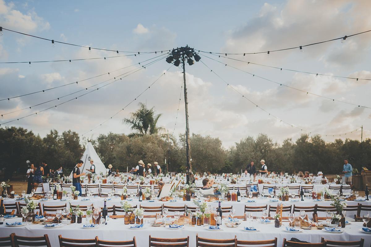 Wedding in an Olive Grove