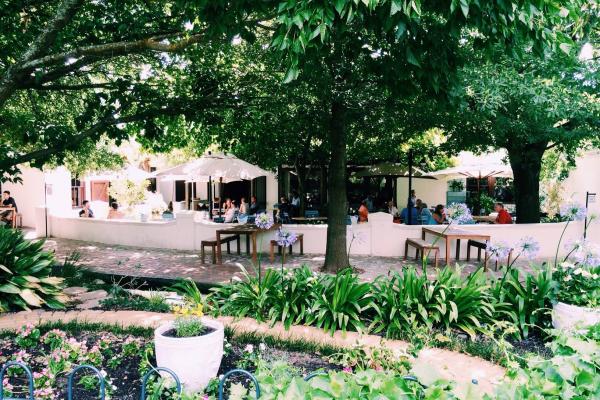 Moreson Wine Farm 2025