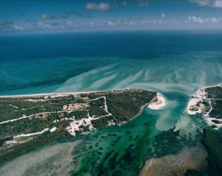 10432119_10154398373025459_482701288757982014_n COMO Parrot Cay
