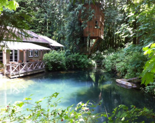 tree-house-pointe TreeHouse Point