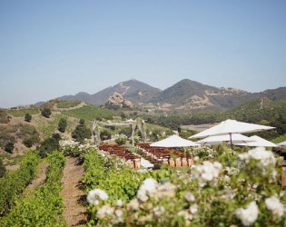 Dome Saddlerock Ranch & Vineyard