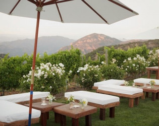 Vineyard9 Saddlerock Ranch & Vineyard