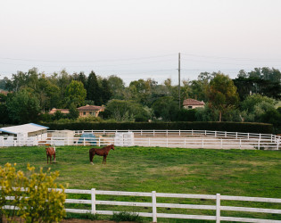 BrittanyTaylor_FILM_140 Klentner Ranch