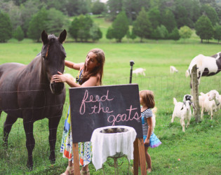 Atlanta-Wedding-Photographer-LeahAndMark-0027 The Barn at High Point Farms