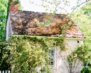 52fd9a089d016$!x900 Tuckahoe Plantation
