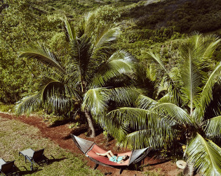 Hawaii_0156-CX05zo The Palmwood
