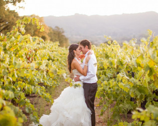 Benziger_Family_Vineyard_Wedding_11 Benziger Family Winery