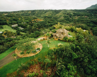 hawaii-venue-3 The Palmwood