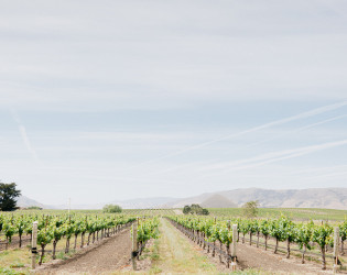 biddle-ranch-vineyard-wedding-12 Biddle Ranch Vineyard
