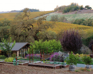 arista-winery-1 Arista Winery