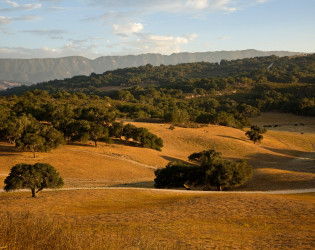 Zaca Creek Ranch