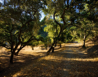 Zaca Creek Ranch