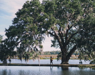 Middleton Place