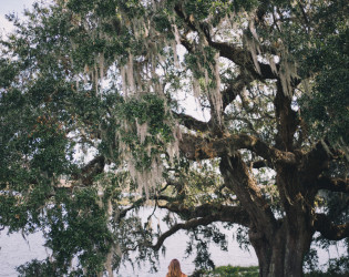 Middleton Place