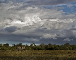 Stormy-skies Royal Malewane