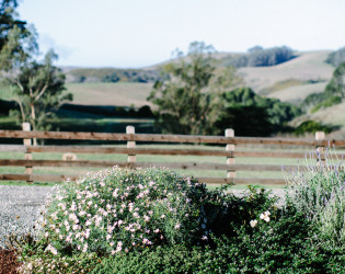 TheHavenAtTomales-MeganClouse-01 The Haven at Tomales