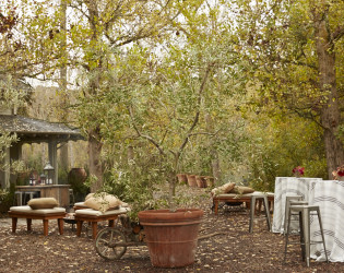McEvoyRanch-ThayerAllysonGowdy-06 McEvoy Ranch