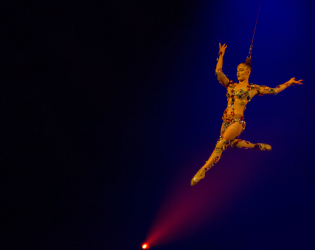 Cirque du Soleil Luzia – Houston