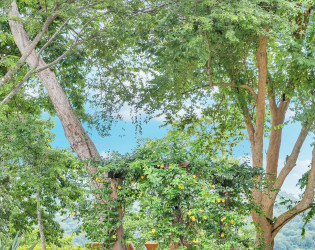 Photo115 Villa Wild Indigo