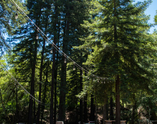 expressive-photographics-20180602_0007 Redwood Retreat at Fernwood Cellars