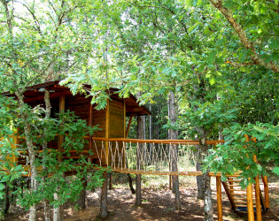 Agramada Treehouse