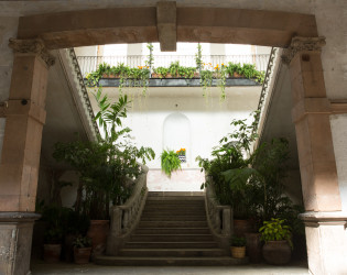 Planta-7833 Proyecto Publico Prim
