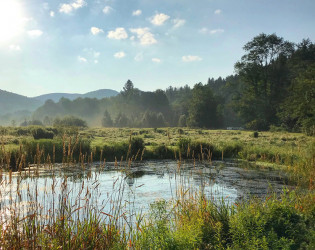 pond Spruceton Inn: a Catskills Bed and Bar