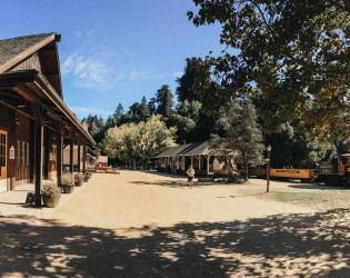 Roaring Camp